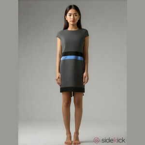 Anne Klein colour block cap sleeve midi career dress Size 8